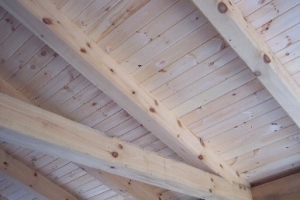 ceilings5